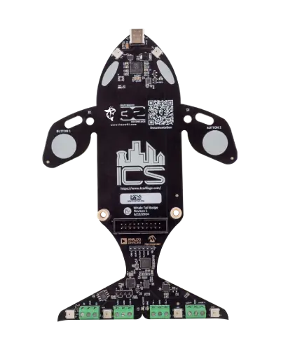 FREE-WILi Whale Tail Front View